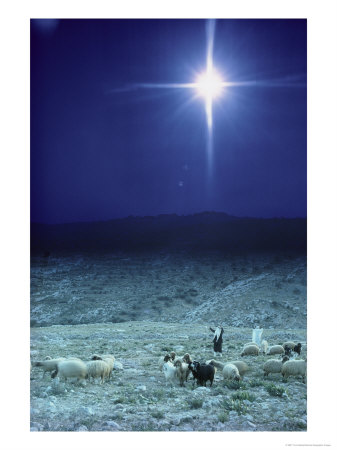 131218shepherds-watch-their-flocks-under-the-light-from-a-distant-star-near-bethlehem-israel-posters