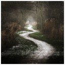 the_white_path